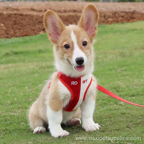Wholesale Fashion Dog Harness And Leash